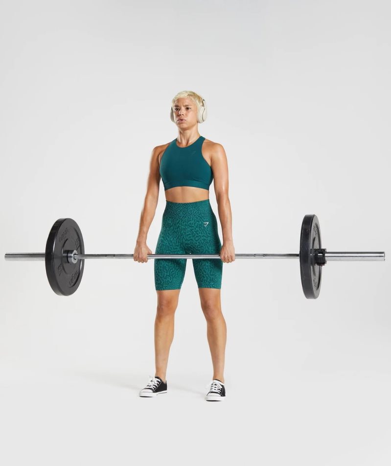 Gymshark 315 Performance High Neck Sport Bh Dam Turkos | SE-36418C