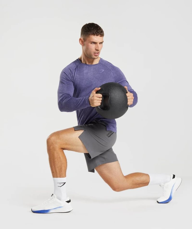 Gymshark Apex Long Sleeve T-shirt Herr Lila | SE-40615S