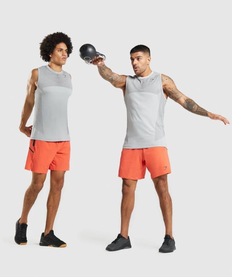 Gymshark Apex Seamless Linnen Herr Ljusgrå | SE-10876X