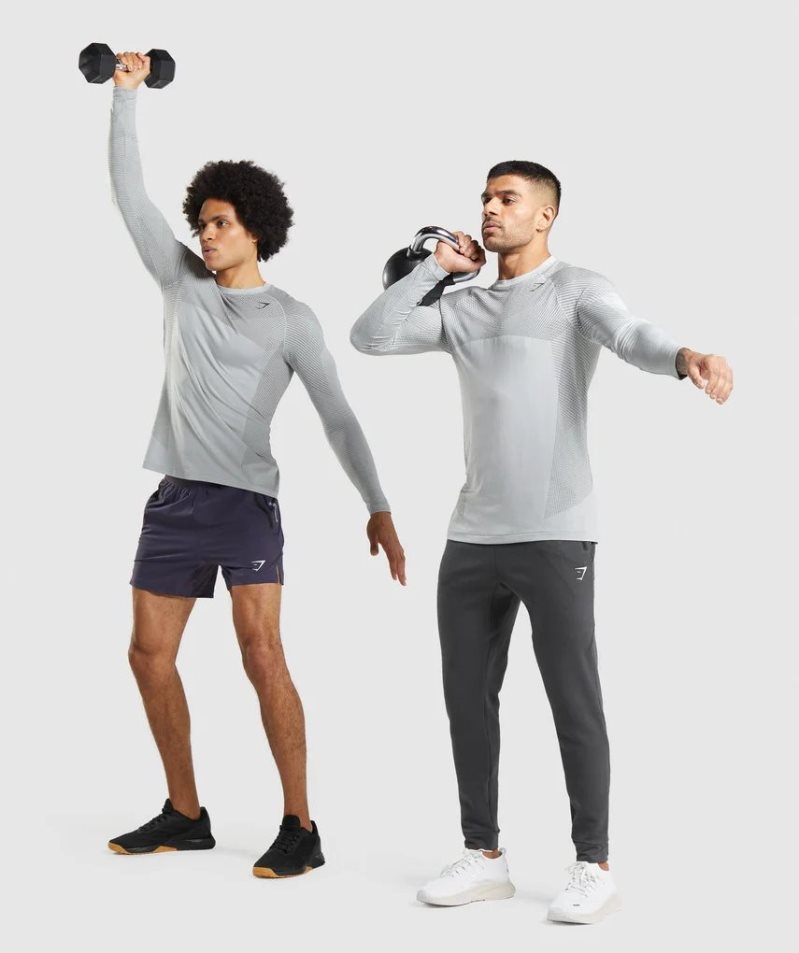 Gymshark Apex Seamless Long Sleeve T-shirt Herr Ljusgrå | SE-62130V