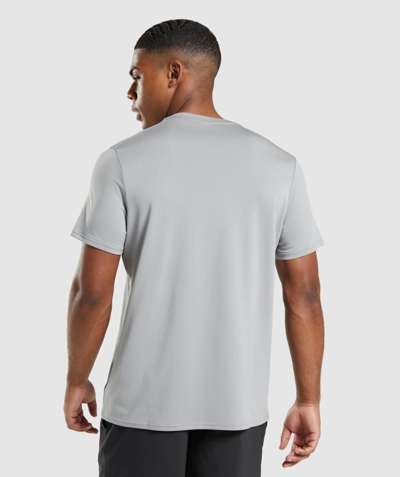 Gymshark Arrival Regular Fit T-shirt Herr Ljusgrå | SE-25790H