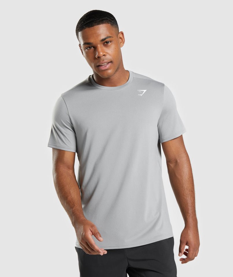 Gymshark Arrival Regular Fit T-shirt Herr Ljusgrå | SE-25790H
