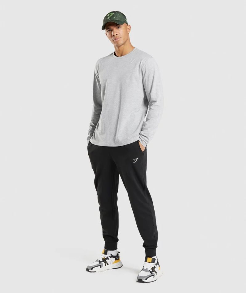 Gymshark Crest Long Sleeve T-shirt Herr Ljusgrå | SE-59081C