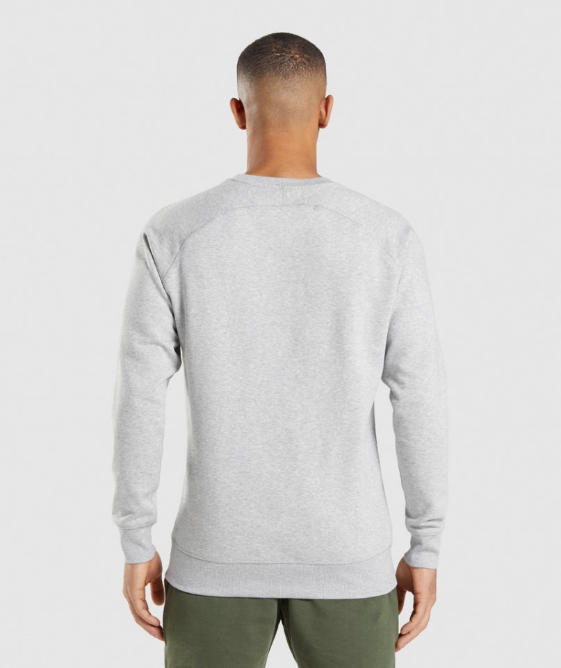 Gymshark Crest Tröjor Herr Ljusgrå | SE-50126K