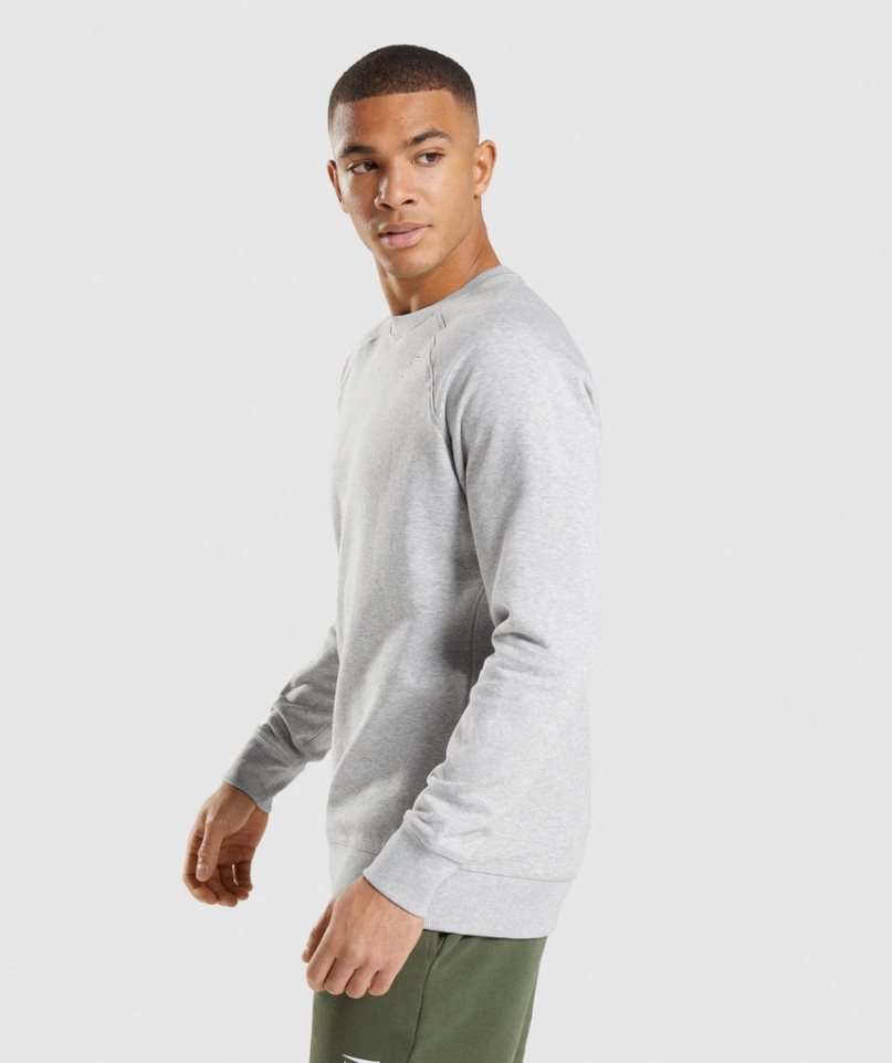 Gymshark Crest Tröjor Herr Ljusgrå | SE-50126K