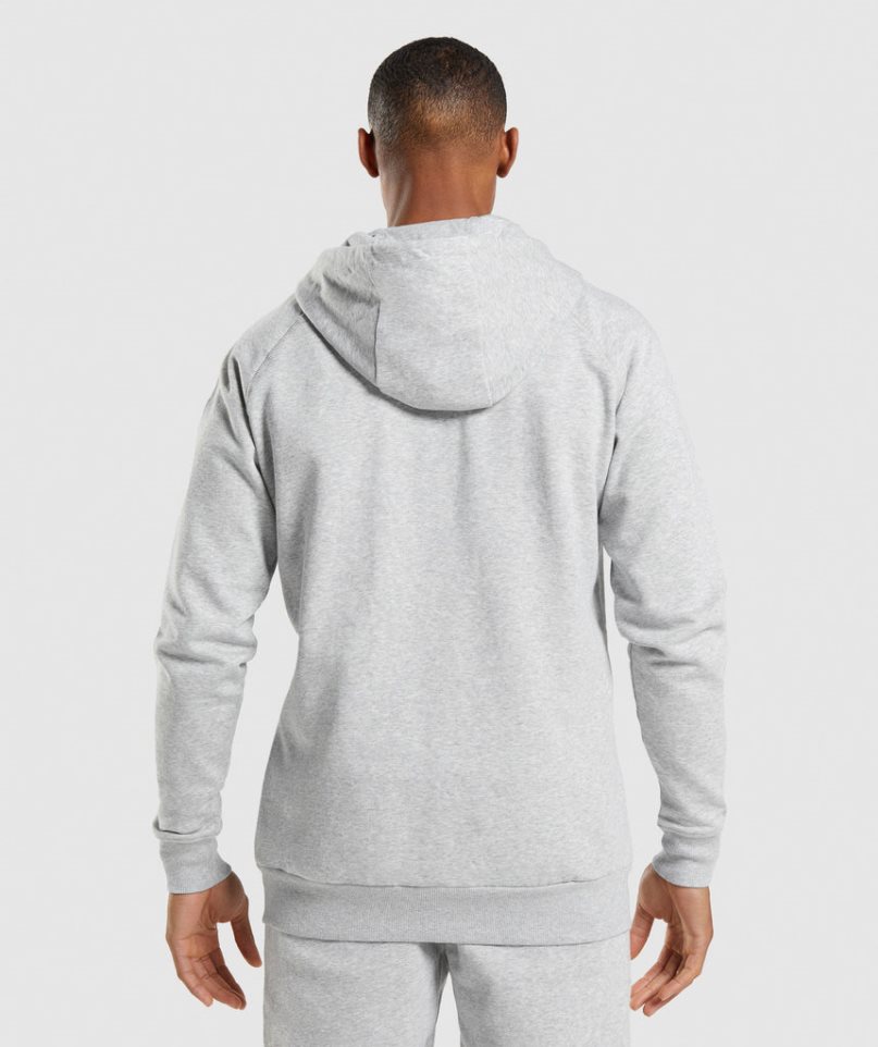 Gymshark Crest Zip Up Hoodie Herr Ljusgrå | SE-35927O