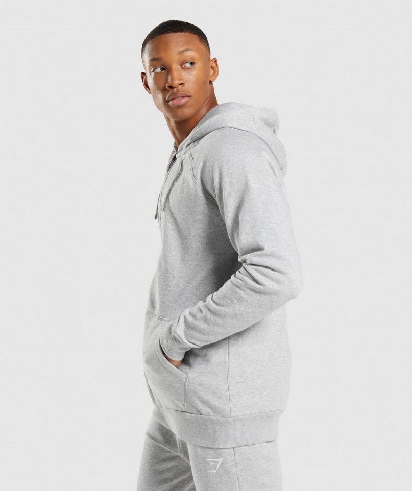 Gymshark Crest Zip Up Hoodie Herr Ljusgrå | SE-35927O