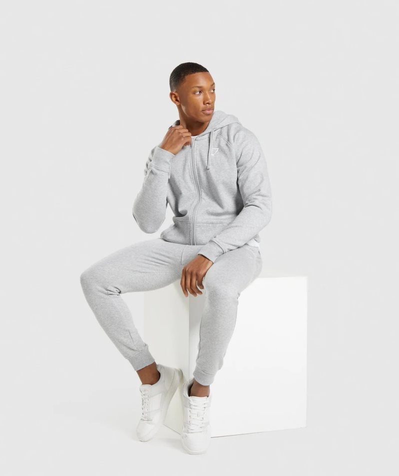 Gymshark Crest Zip Up Hoodie Herr Ljusgrå | SE-35927O