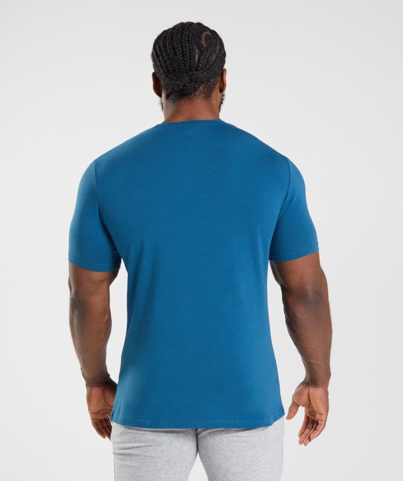 Gymshark Essential T-shirt Herr Blå | SE-38754N