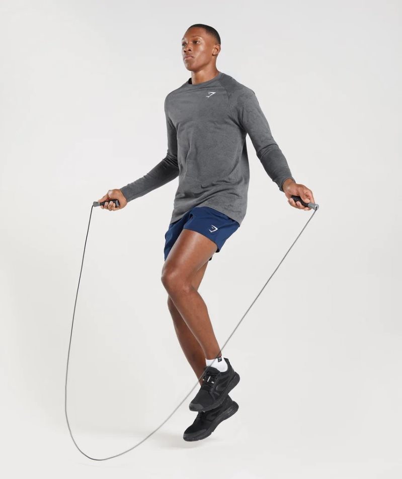 Gymshark Geo Seamless Long Sleeve T-shirt Herr Grå | SE-57318H
