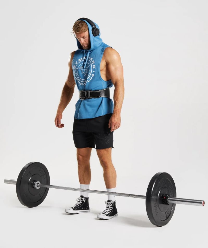 Gymshark Legacy Drop Arm Hoodie Herr Blå | SE-07165C