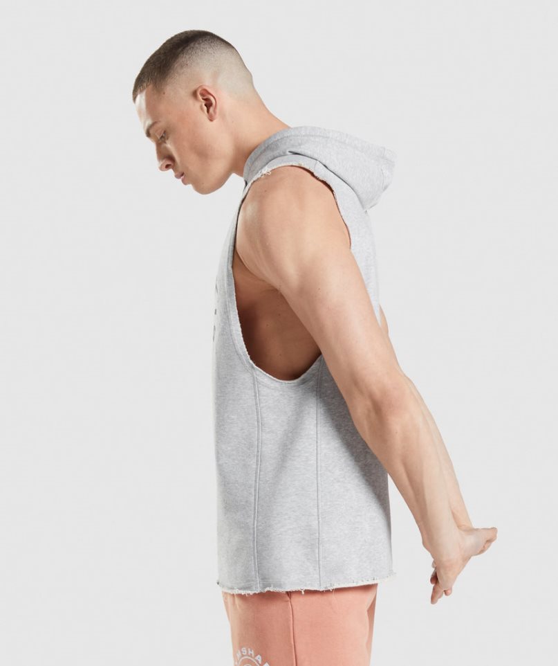 Gymshark Legacy Drop Arm Hoodie Herr Ljusgrå | SE-79265X