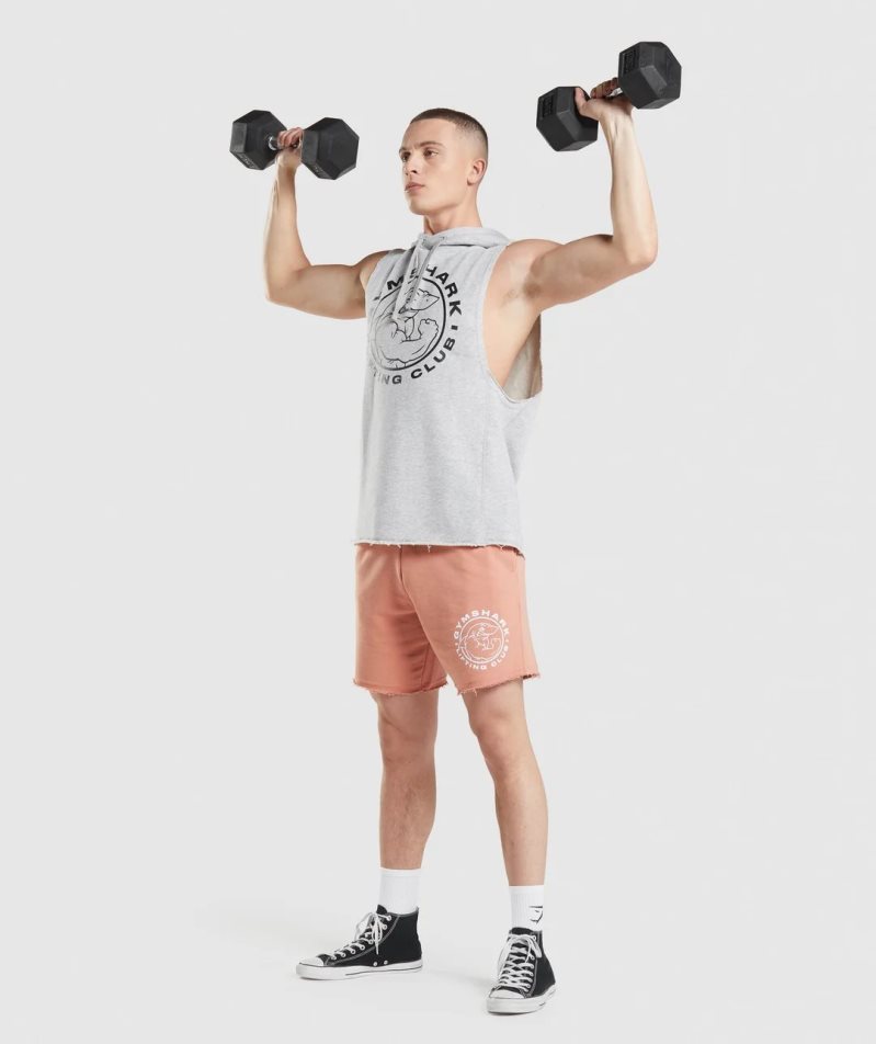 Gymshark Legacy Drop Arm Hoodie Herr Ljusgrå | SE-79265X