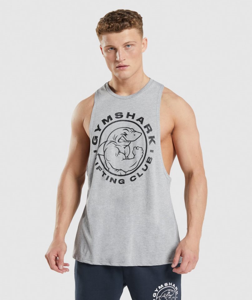 Gymshark Legacy Drop Arm Linnen Herr Ljusgrå | SE-16475J