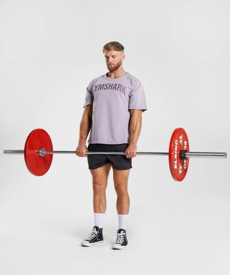 Gymshark Power Washed Rag Top T-shirt Herr Lila | SE-28390N