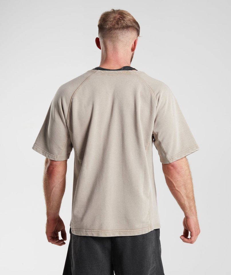 Gymshark Power Washed Rag Top T-shirt Herr Beige | SE-75684N