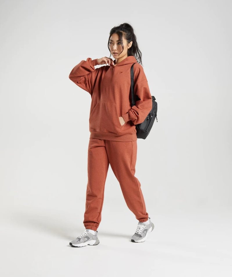 Gymshark Rest Day Sweats Hoodie Dam Bruna | SE-97086Y