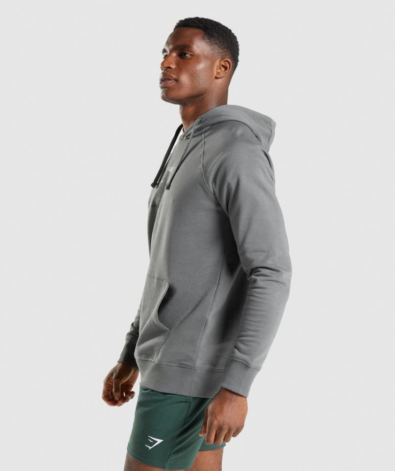 Gymshark Sharkhead Infill Hoodie Herr Grå | SE-74658O