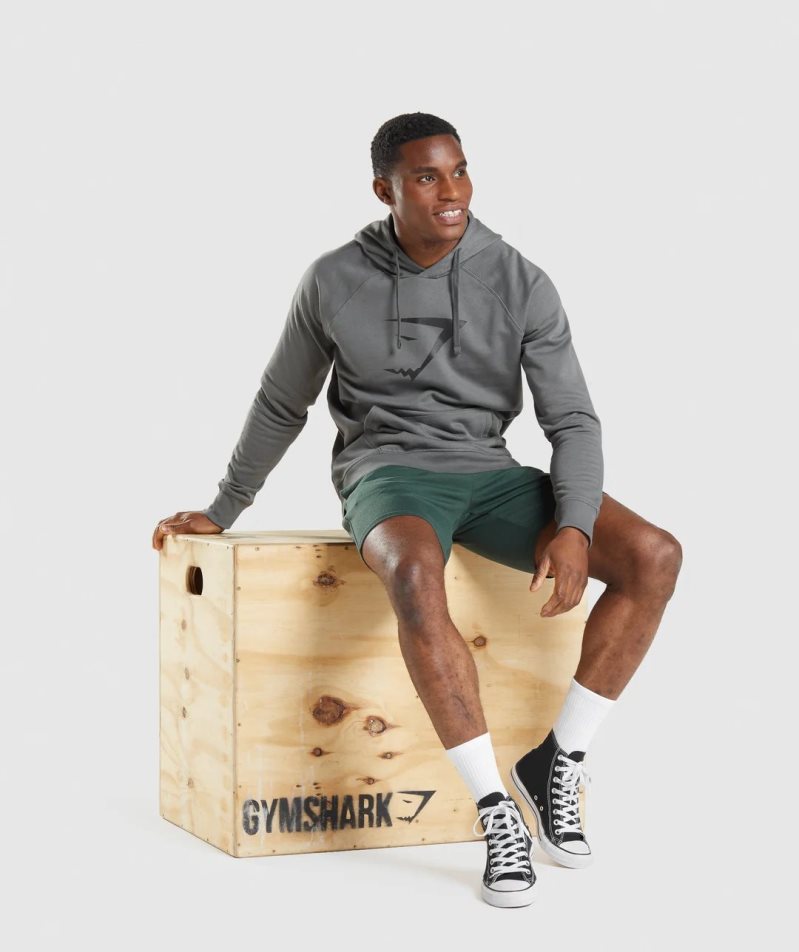 Gymshark Sharkhead Infill Hoodie Herr Grå | SE-74658O