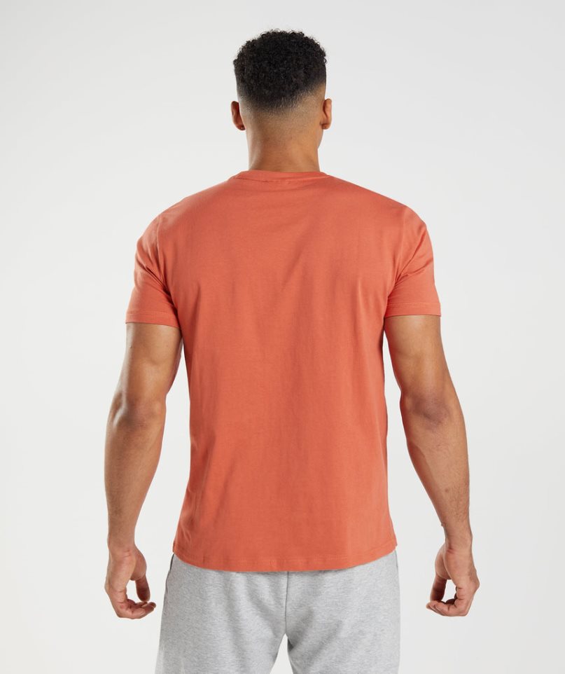 Gymshark Sharkhead Infill T-shirt Herr Orange | SE-87512W