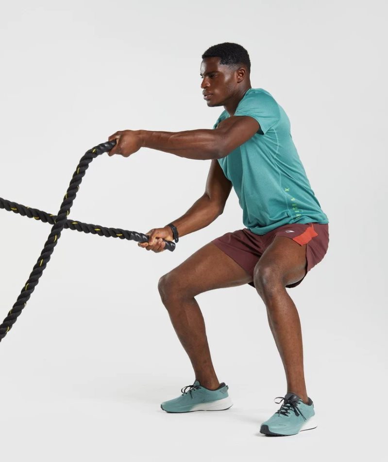 Gymshark Sport Shorts Herr Vinröda | SE-17509Q