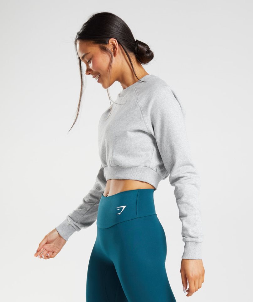 Gymshark Tränings Cropped Tröjor Dam Ljusgrå | SE-54793B