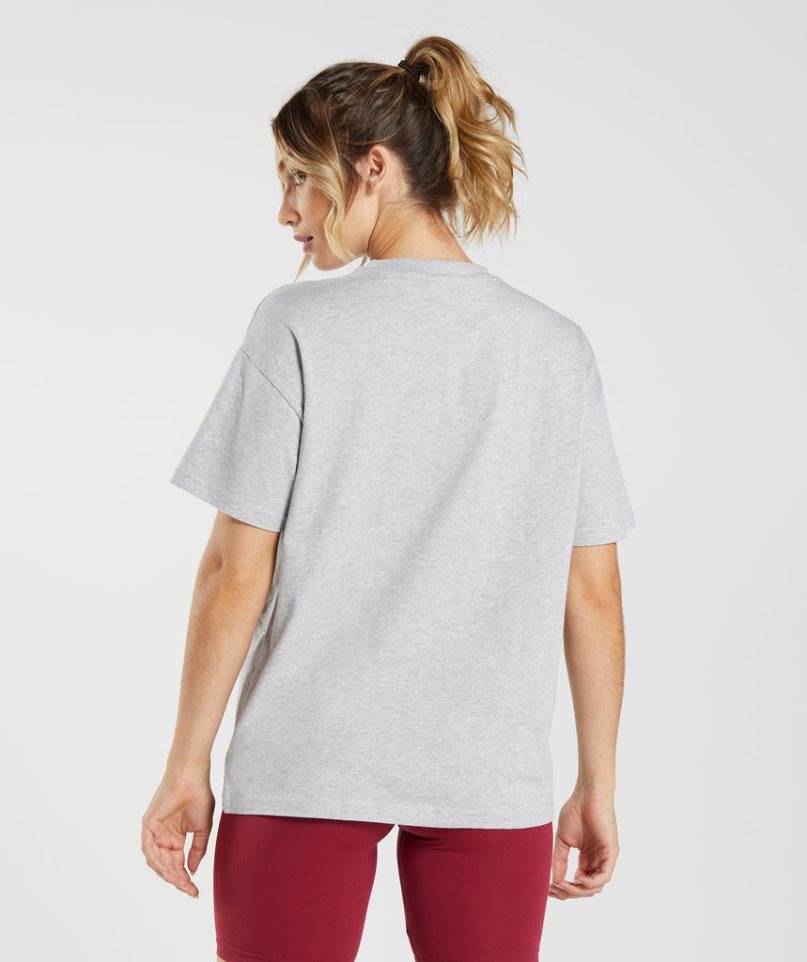 Gymshark Tränings Oversized T-shirt Dam Ljusgrå | SE-38725V