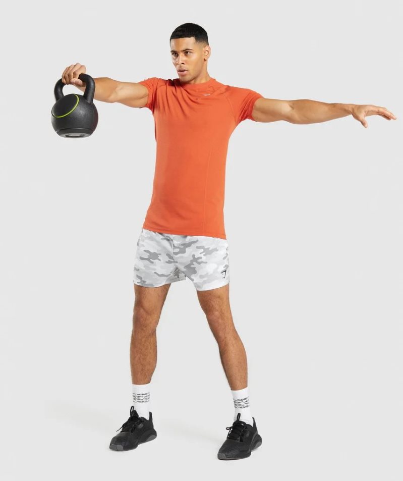 Gymshark Vital Light Seamless T-shirt Herr Orange | SE-48732P