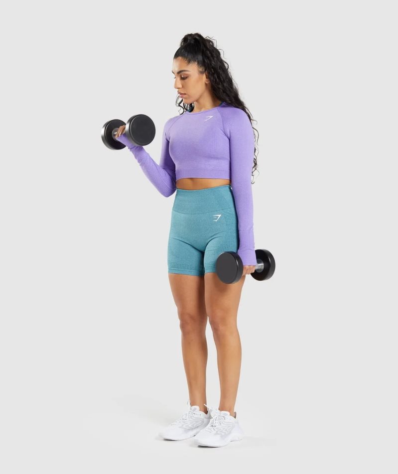 Gymshark Vital Seamless 2.0 Long Sleeve Beskurna Toppar Dam Lavendel | SE-71362A