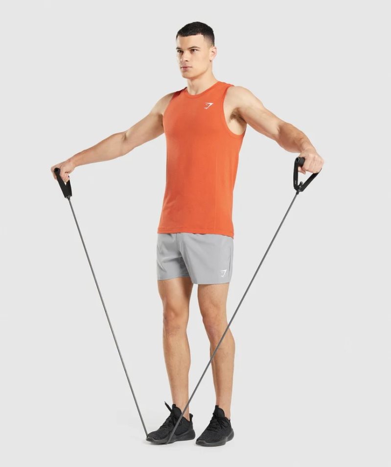 Gymshark Vital Seamless Light Linnen Herr Orange | SE-56417U