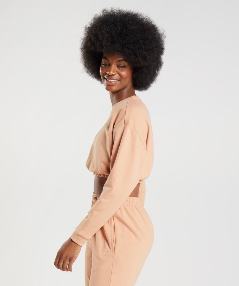 Gymshark Whitney Cropped Tröjor Dam Beige | SE-92607T